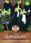 Preview: Aubergine Galine - Solanum melongena