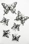 Preview: Wanddeko Set Totenkopf-Schmetterlinge
