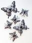 Preview: Set Totenkopf-Schmetterlinge transparent