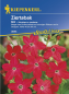 Mobile Preview: Nicotiana x sanderae Ziertabak rot