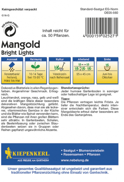 Mangold Bright Lights