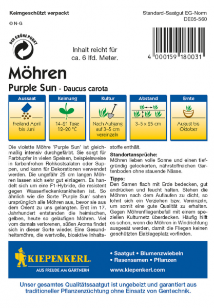 Möhren Purple Sun