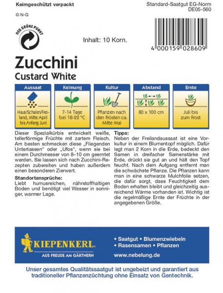 Zucchini Custard White Ufo weiß