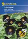 Stockrose Nigra
